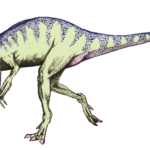 Eoraptor running