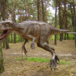 Eotyrannus model