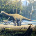 Europasaurus family