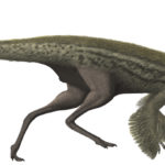 Gallimimus running