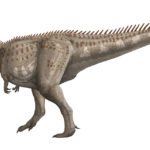 Giganotosaurus giant