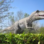 Giganotosaurus standing