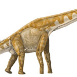 Giraffatitan long neck
