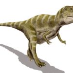 Gorgosaurus walking