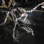 Guanlong mounted skeleton scaled