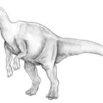 HADROSAURUS SKETCH