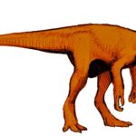 Herrerasaurus model
