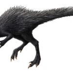 Heterodontosaurus running