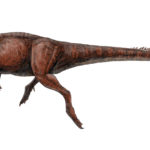 Homalocephale running scaled