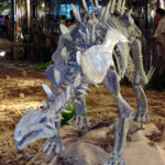 Huayangosaurus skeleton