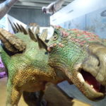 Huayangosaurus spikes scaled