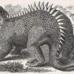 Hylaeosaurus sitting