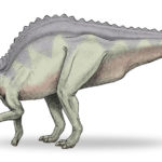 Hypacrosaurus walking