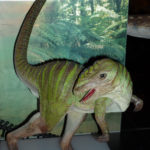 Hypsilophodon standing scaled