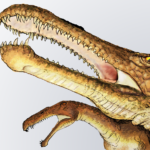 Irritator head