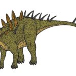 Kentrosaurus model