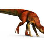 Kritosaurus long tail