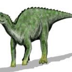Kritosaurus walking