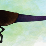 Lesothosaurus long tail