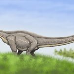 Mamenchisaurus long neck