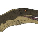 Masiakasaurus head scaled