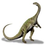 Massospondylus long back tail