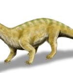 Massospondylus walking in four legs