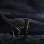 Melanorosaurus in the middle of the night