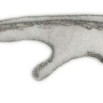 Micropachycephalosaurus ilium