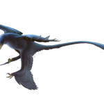 Microraptor fly