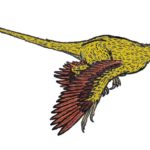 Microraptor long tail