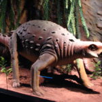 Minmi walk scaled