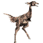 Mononykus feathers