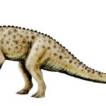 Muttaburrasaurus left view 1