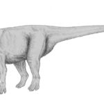 Muttaburrasaurus taking a step 1