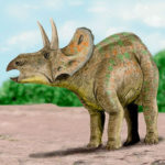 Nedoceratops wandering