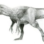 Neovenator sharp claws