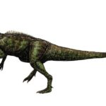 Neovenator sharp teeth