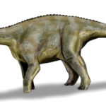 Nigersaurus left view