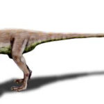 Ornitholestes walking