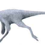 Ornithomimus left view