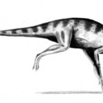Orodromeus running