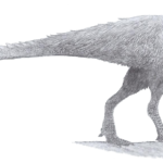 Orodromeus sketch