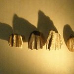 Ouranosaurus teeth specimen