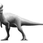 Pachycephalosaurus full body