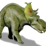 Pachyrhinosaurus full body