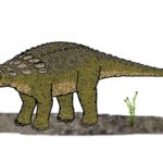 Panoplosaurus standing scaled
