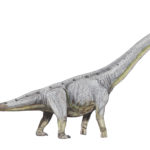 Paralititan long neck scaled