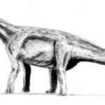 Paralititan walking