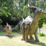 Parasaurolophus family